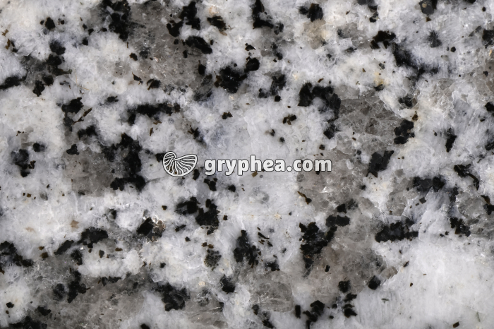 Granite - surface polie - détail - gryphea.com